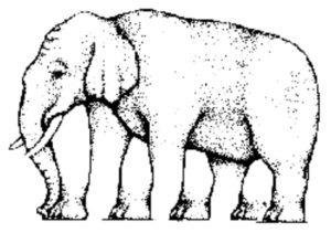 O que você acha? Você está ficando tão louco tentando descobrir essa ilusão quanto nós? O truque aqui é que os pés dos elefantes foram movidos, então o que realmente parece com as pernas do elefante, na verdade não são. Ou será que são?